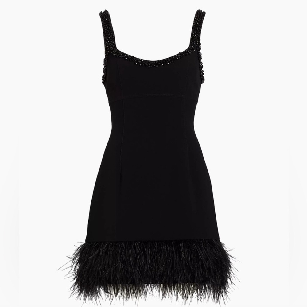 Cinq a Sept - Stellah Feathered-Hem Embellished
Mini Dress size 4
